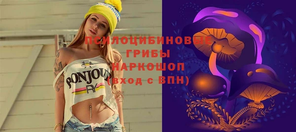 крисы Абдулино