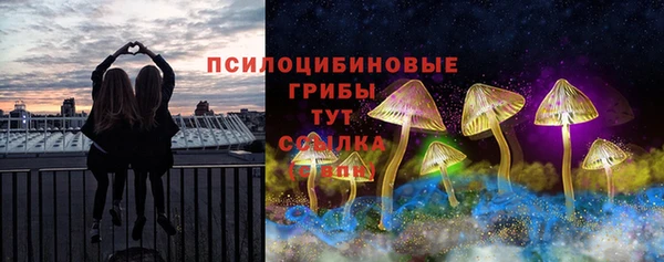 хмурый Саяногорск