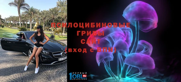 хмурый Саяногорск