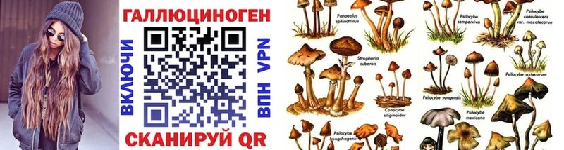 Галлюциногенные грибы мицелий  Болхов 